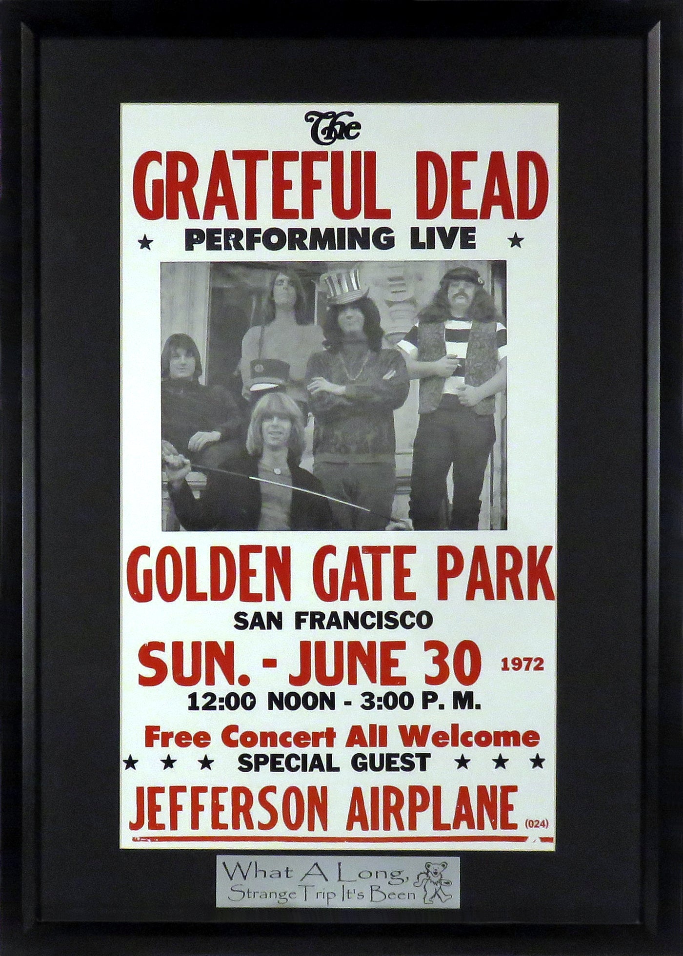 Grateful Dead @ Golden Gate Park Framed Concert Poster (Engraved